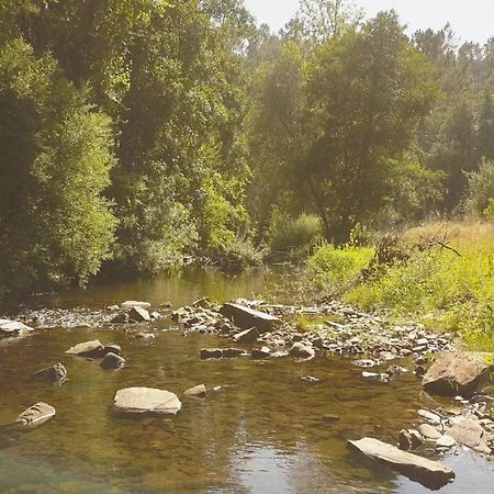 Suites Do Pinhal Proença-a-Nova Εξωτερικό φωτογραφία
