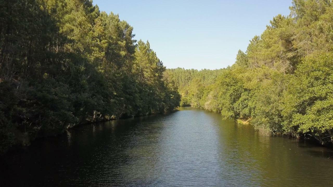 Suites Do Pinhal Proença-a-Nova Εξωτερικό φωτογραφία